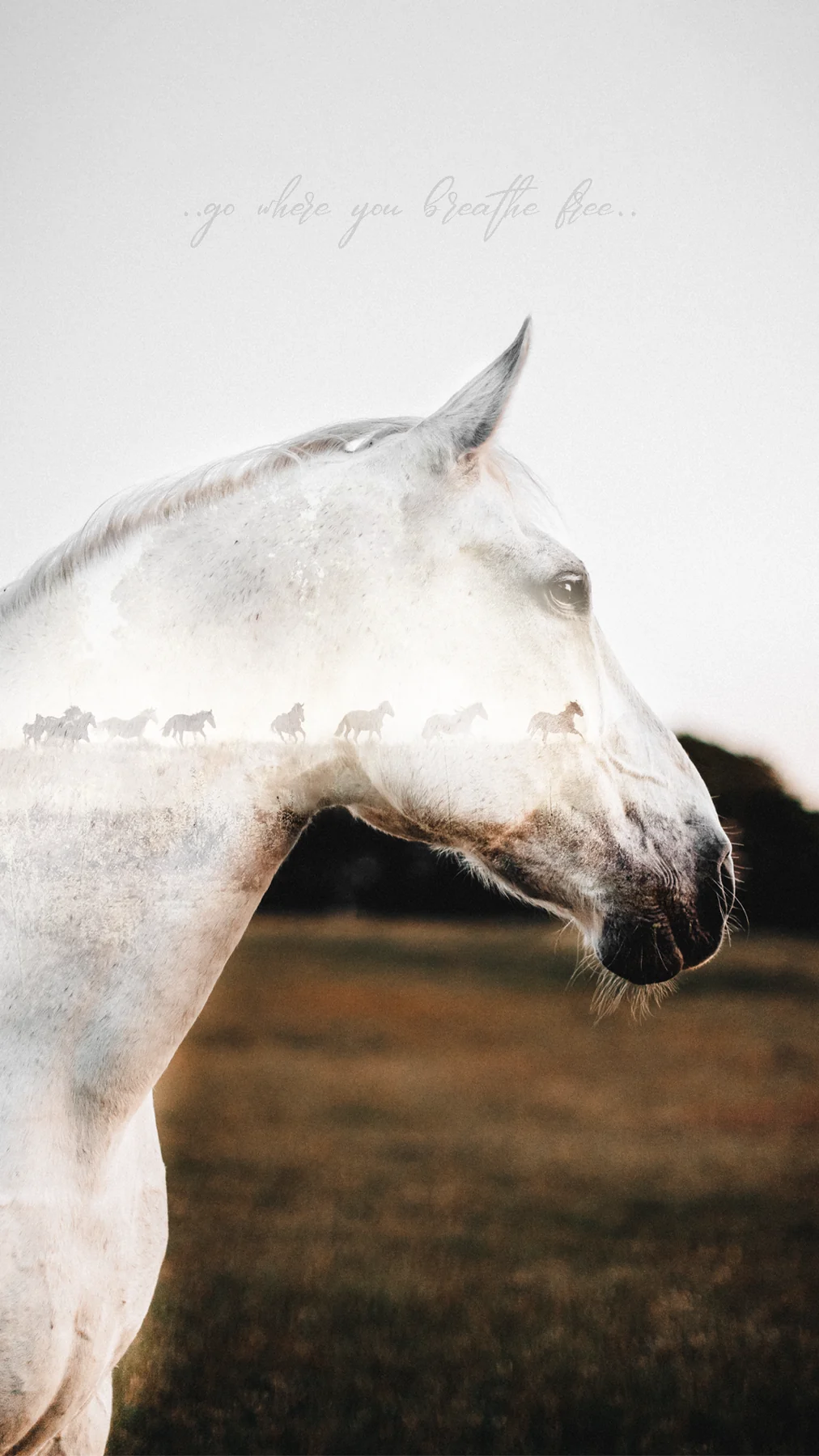 Double Exposure